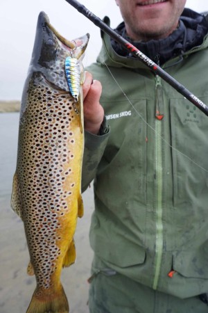 Fiskesett
