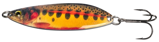 Mørk regnbue